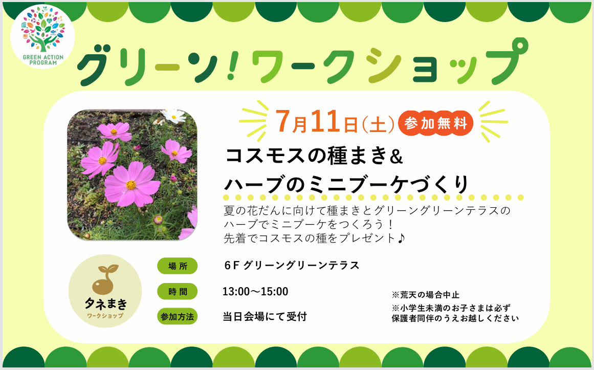 グリーンワークショップ「コスモスの種まき&ハーブのミニブーケづくり