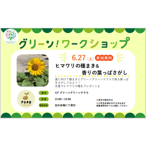 グリーンワークショップ「ヒマワリの種まき&香りの葉っぱさがし」