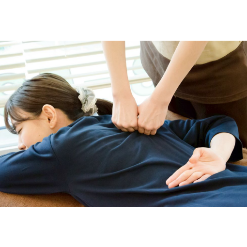 ★11月19日ご案内状況★