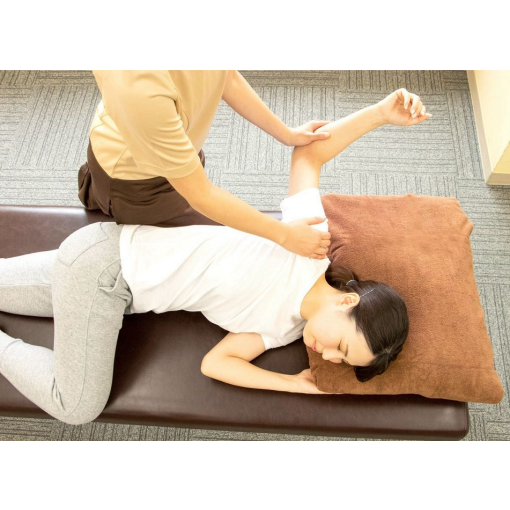 ★11月28日ご案内状況★