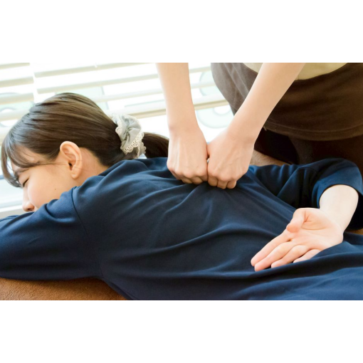 ★2月26日ご案内状況★