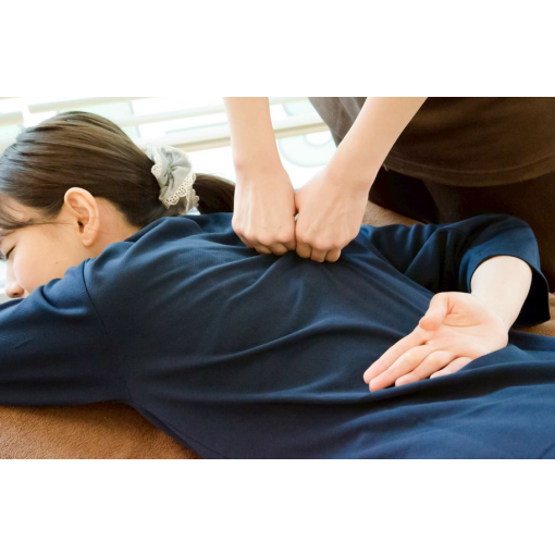 ★2月12日ご案内状況★