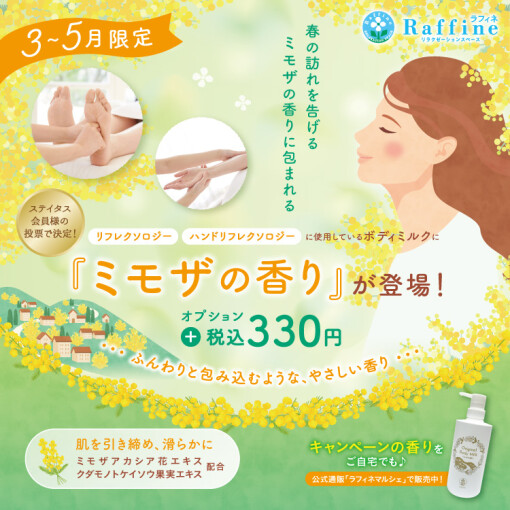 【期間限定】ミモザの香りのボディミルク新登場