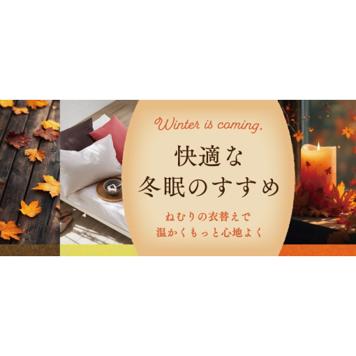 快適な冬眠のすすめ