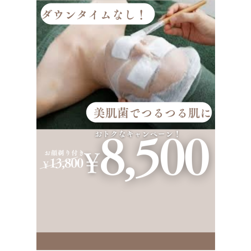 バクテリウムピールについて♪