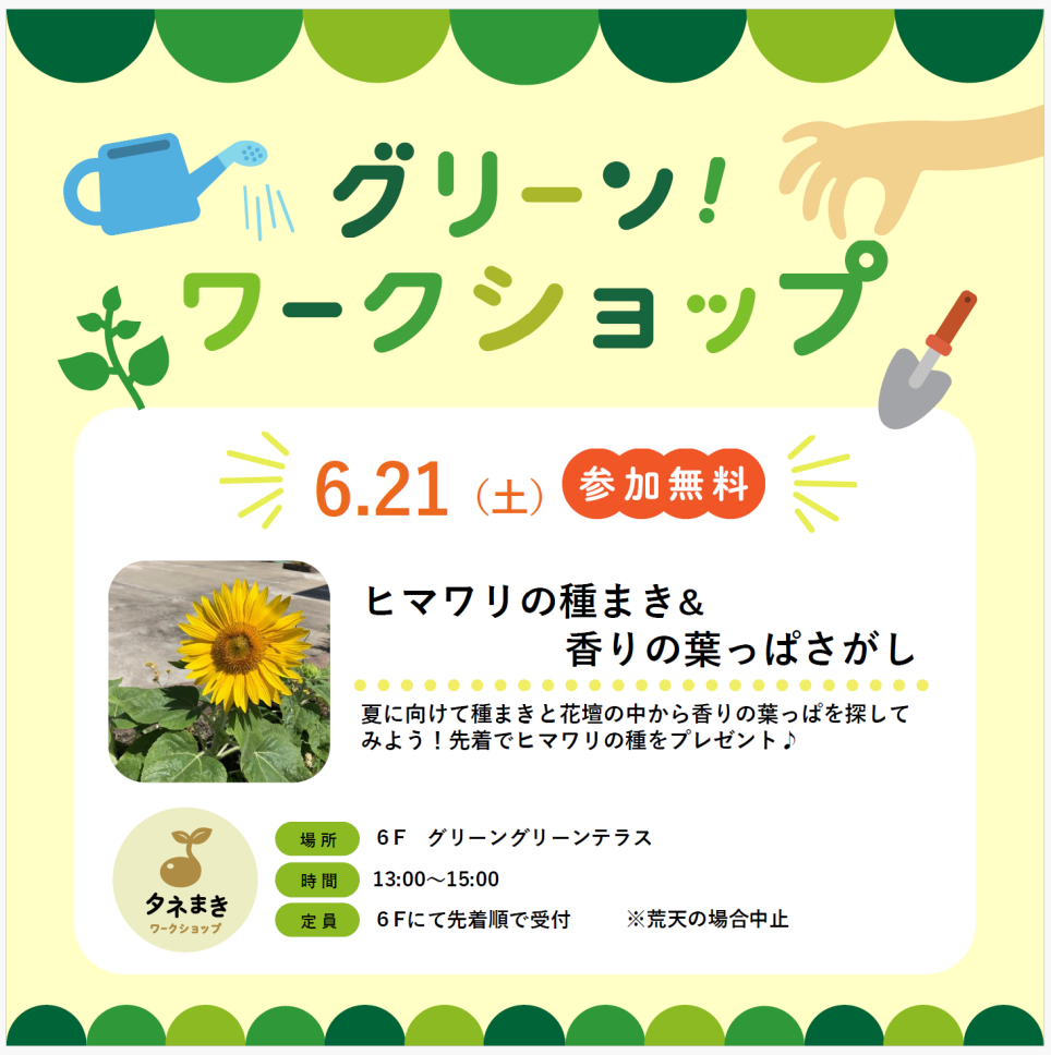 グリーンワークショップ「ヒマワリの種まき&香りの葉っぱさがし」