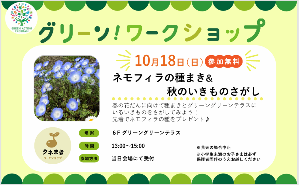 グリーンワークショップ「ネモフィラの種まき&秋のいきものさがし」