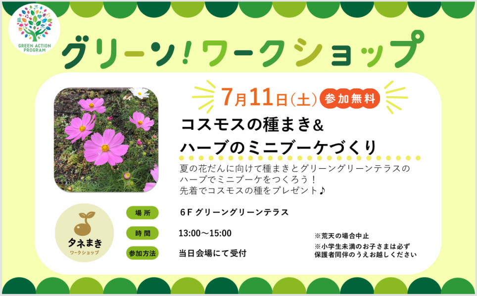 グリーンワークショップ「コスモスの種まき&ハーブのミニブーケづくり」