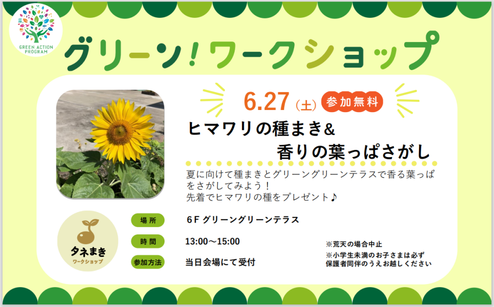 グリーンワークショップ「ヒマワリの種まき&香りの葉っぱさがし」