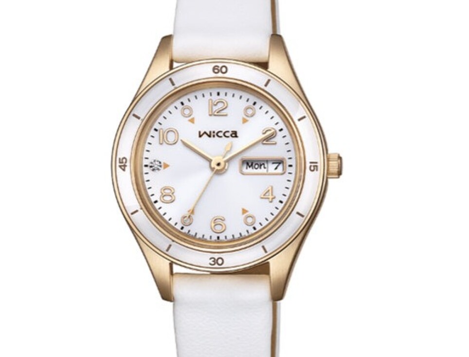 今月の新製品＝ウイッカ＝