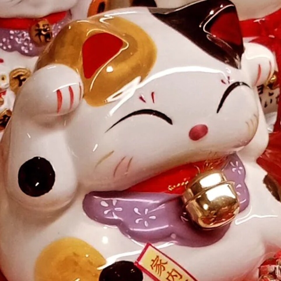 22日はねこの日