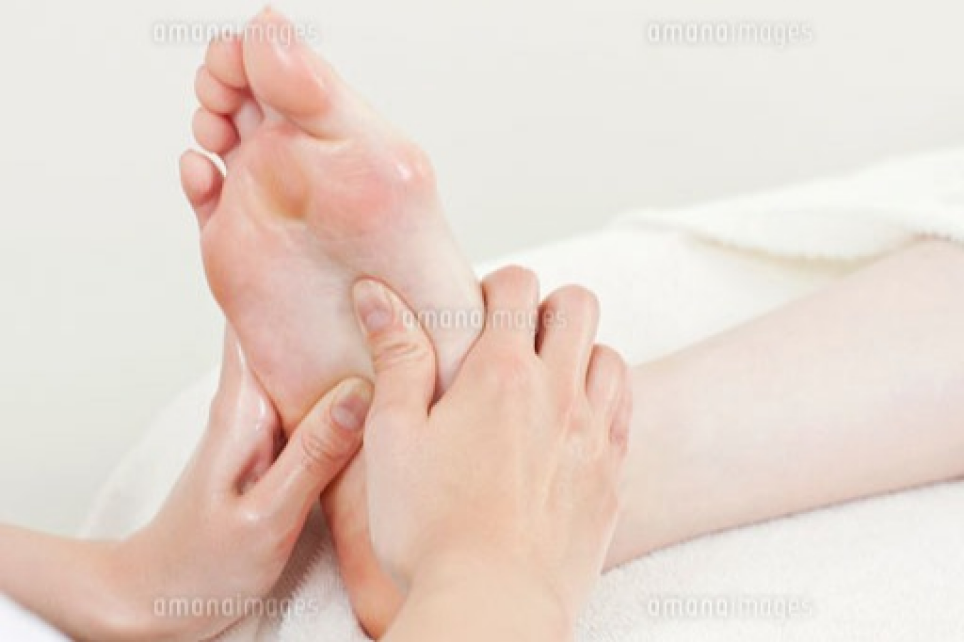 ★11月21日ご案内状況★