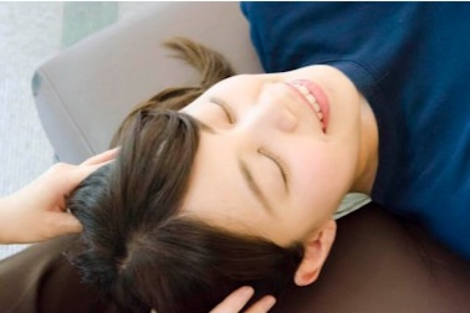 ★2月17日ご案内状況★