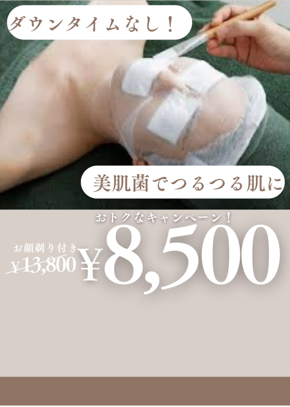 バクテリウムピールについて♪